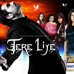 Tere Liye - One of the best rating Indian TV series for TV programming managers Tere Liye - One of the best rating Indian TV series for TV programming managers